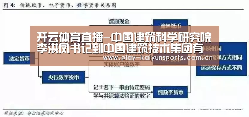 开云赛事