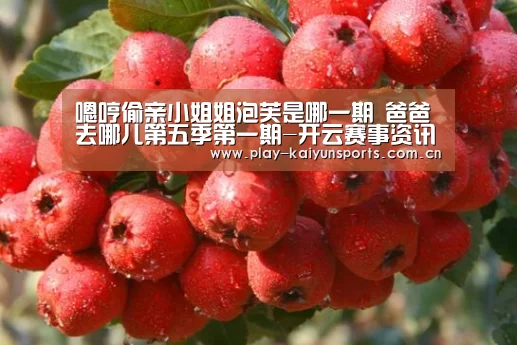 嗯哼偷亲小姐姐泡芙是哪一期 爸爸去哪儿第五季第一期-开云赛事
