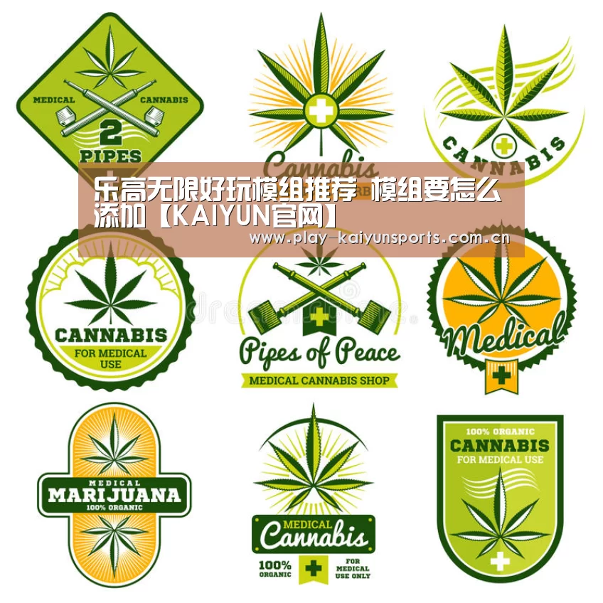 乐高无限好玩模组推荐 模组要怎么添加【KAIYUN官网】