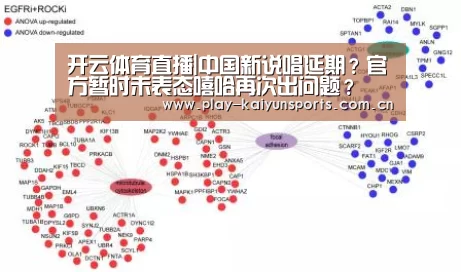 开云体育直播|中国新说唱延期?官方暂时未表态嘻哈再次出问题?(图2) 开云体育直播