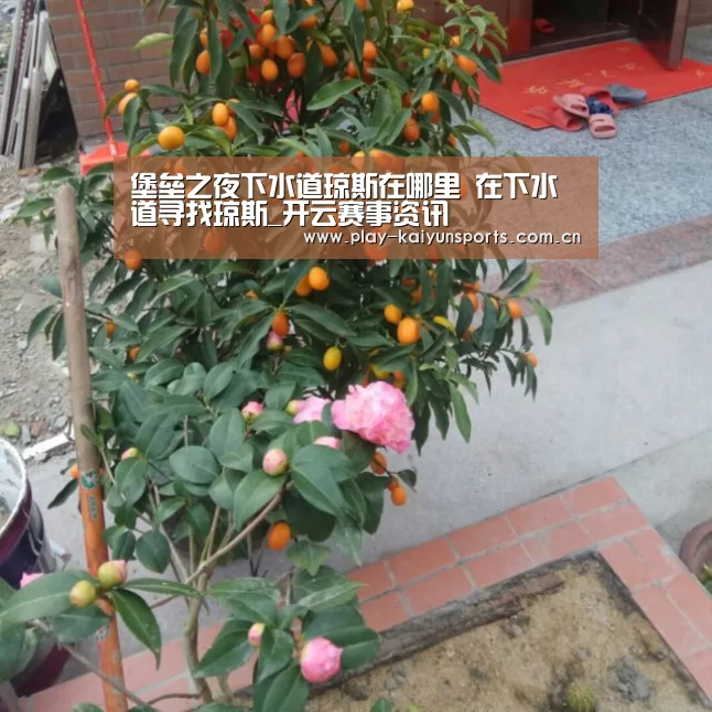 堡垒之夜下水道琼斯在哪里 在下水道寻找琼斯_开云赛事资讯(图4) KAIYUN官网