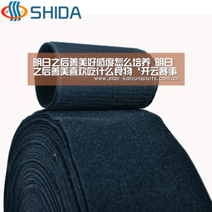 明日之后善美好感度怎么培养 明日之后善美喜欢吃什么食物‘开云
