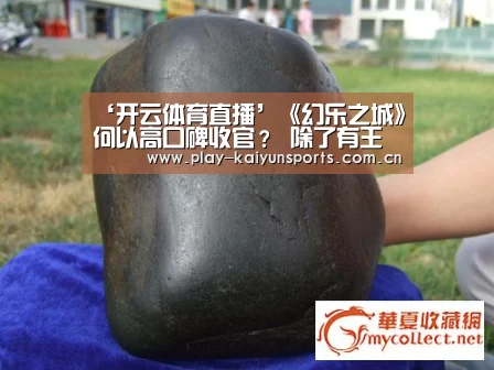 ‘开云体育直播’《幻乐之城》何以高口碑收官? 除了有王菲还有…(图2) 开云体育直播